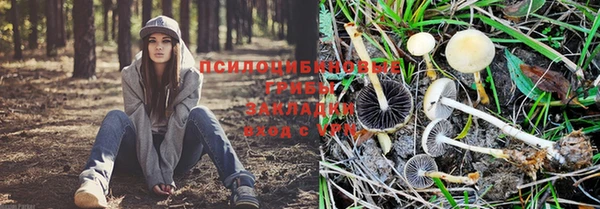 скорость Алексин