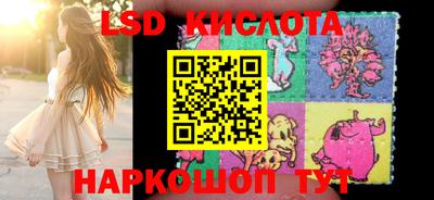 крисы Донской