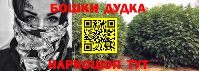 крисы Донской