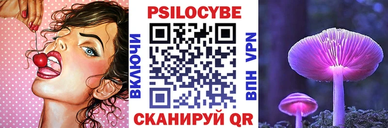 Псилоцибиновые грибы GOLDEN TEACHER купить Тара