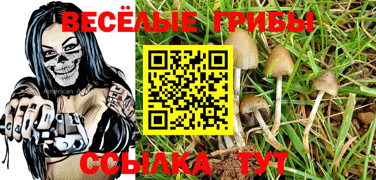 Тара  Галлюциногенные грибы GOLDEN TEACHER  Псилоцибиновые грибы Cubensis  Вход с VPN 